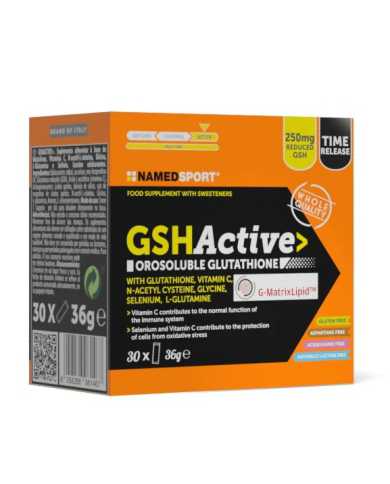 NAMED GSHActive - 30 Stick 985509328 Namedsport