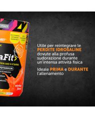 NAMED Hydrafit Polvere 400 gr 8058268961375 Namedsport