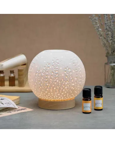 NASOTERAPIA Diffusore elettrico AURIS