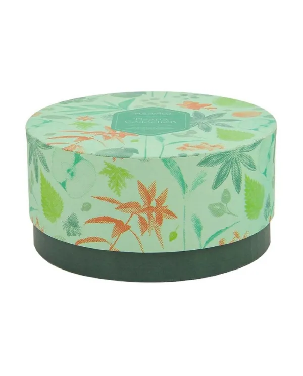 NEAVITA TISANA COLLECTION TIME