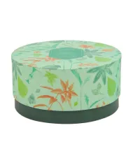 NEAVITA TISANA COLLECTION TIME